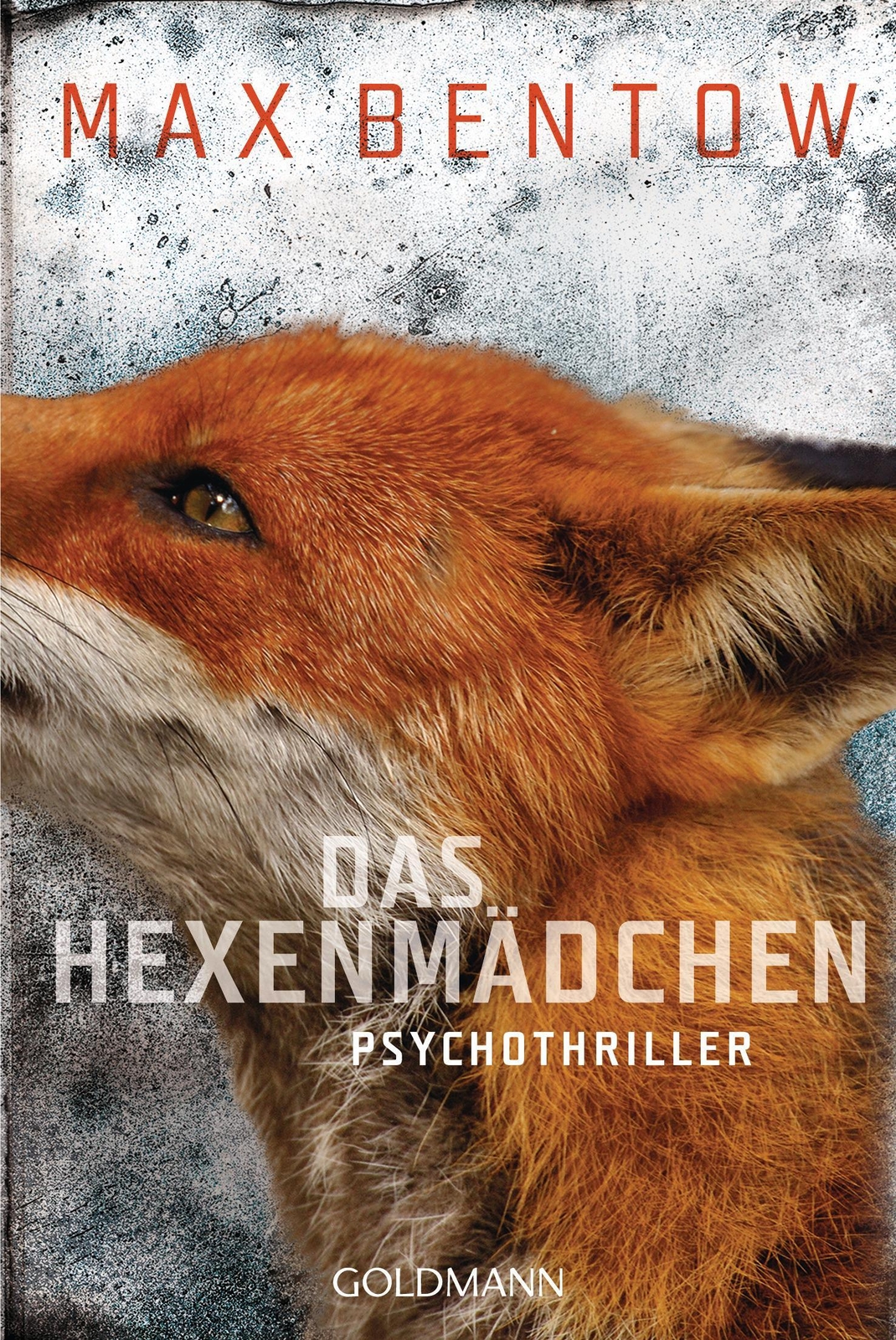 Thumbnail - Max Bentow / Das Hexenmädchen / 9783442484287