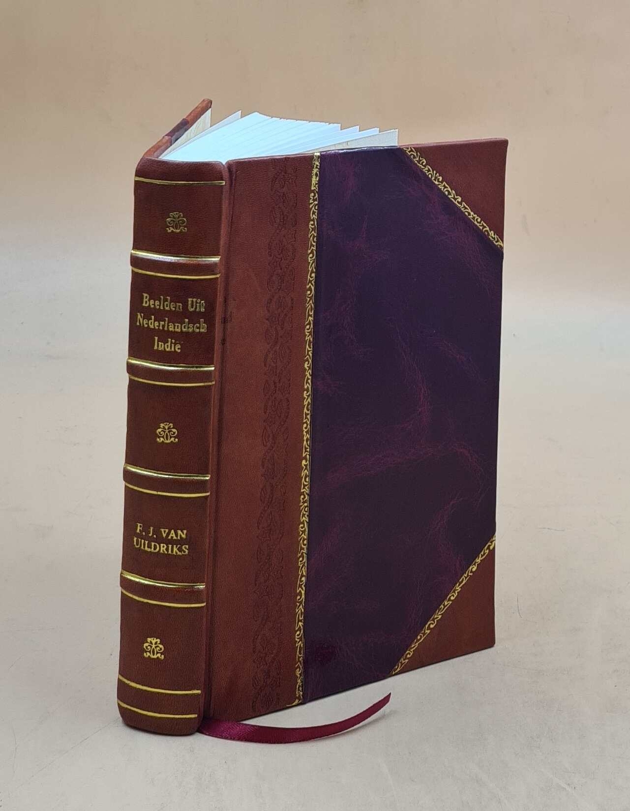 Vintage 1893 Beelden Uit Nederlandsch Indie by F.J. Van Uildriks Leather Bound Edition