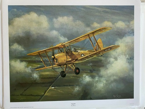 RAF Aviation art print Tiger Moth by Roy Garner. Training Aircraft