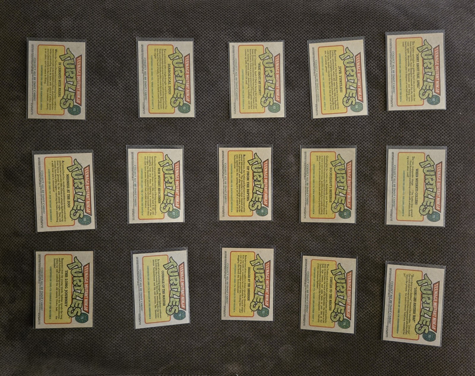 Picture 10 of 14