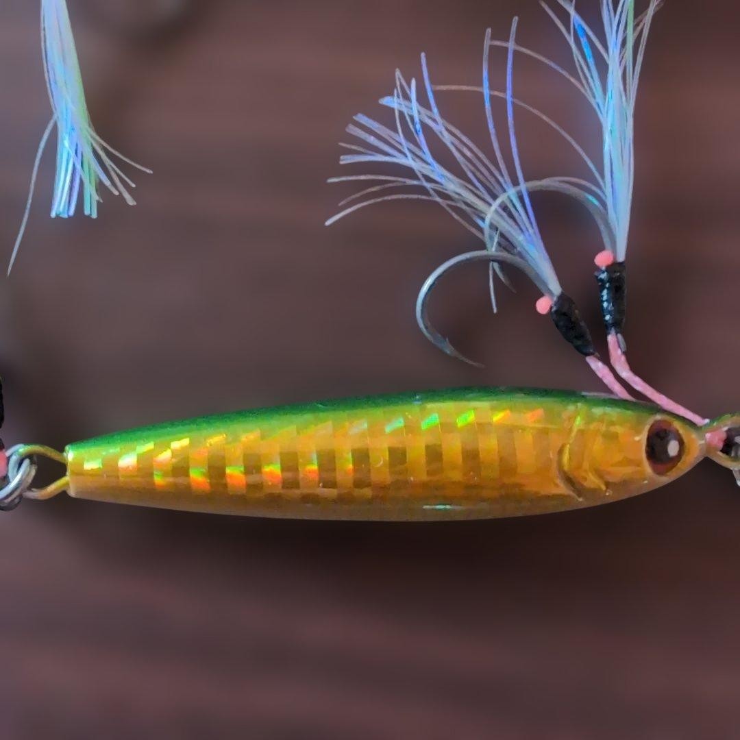 Daiwa Saltiga FK Jig TG SLJ40g CV Jig SLJ40g Set - Image 9