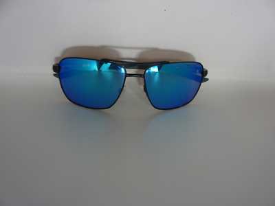 nike premier polarized sunglasses