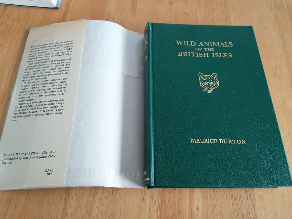 Wayside And Woodland Wild Animals Of The British Isles 1977 eBay