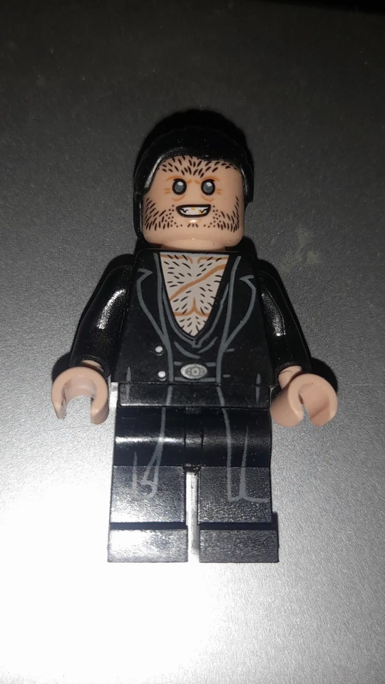 LEGO Harry Potter 75980 Attack on The Burrow, foto 1 di 3