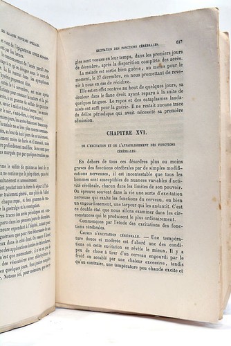 SANDRAS (C.M.S.). Traité Pratique des Maladies Nerveuses. 1851 - Picture 6 of 10