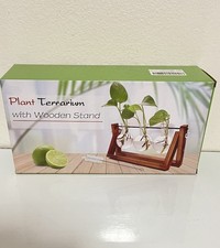 PLANT TERRARIUM 3 BULB/GLASS VASES with WOODEN PLANTER STAND-New