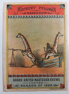 8. 1882 CIRCUS TRADE CARD Maybury Pullman Courier LItho Buffalo GIRAFFE