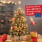 Bild 10 von 14