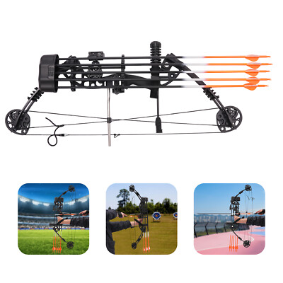 Compoundbogen Set 35-70lbs Jagd Bogenschießen Jagdbogen Sportbogen + 12 pfeile