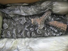 Enviro Ember Bed for Q2/Q3 Gas Fireplace