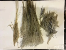 Pampas Grass Boho Home Decor 17 Inch Natural Dried Flowers