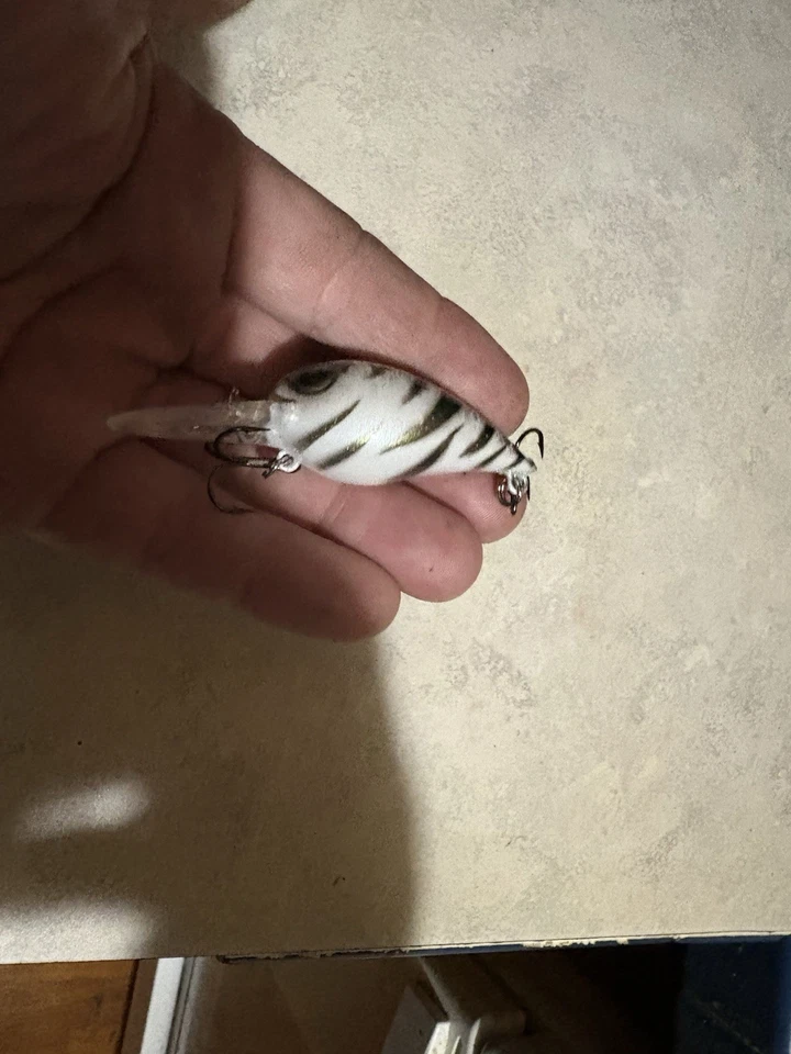 Verruga movible pintada a medida Foto 3 de 4