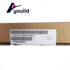 1PC NEW Siemens 6DL1131-6BH00-0EH1 6DL1 131-6...