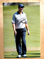 Padraig Harrington Eire Signed 12x8 Photo Open PGA Ryder Cup Golf Autograph COA