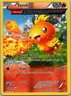 Pokemon TCG Torchic 26/160 Primal Clash Holo LP