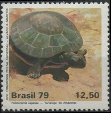BRESIL BRASIL 1367 ** MNH Tortue turtoise turtle Schildkröte tortuga 1979