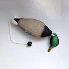 Bild 2 von 12