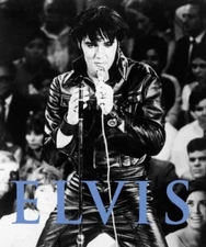Elvis By Susie Behar