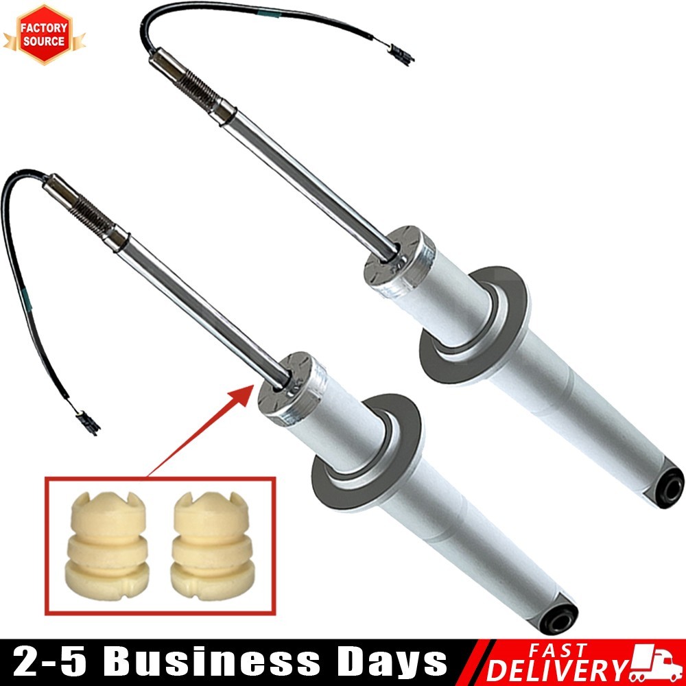 2X Rear Shock Struts Assys Fit Maserati Quattroporte M139 Sport Gt 06-11 4.7L