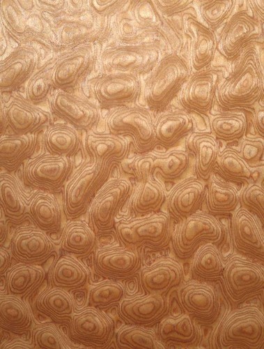 Muschelahorn Impiallacciatura Saraifo Trapuntato Maple Holzfurnier 250x32cm - Bild 12 von 12
