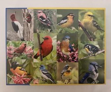 Springbok Birds of a Feather 500 Piece Jigsaw Puzzle Bird Wildlife Made in USA