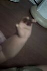 Picture 12 of 24