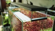 Chihiros WRGB II 10th Edition LED Light 120cm 4ft