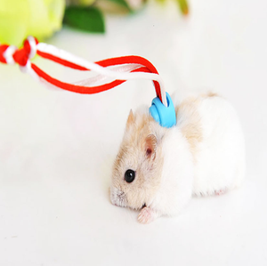 hamster harness ebay