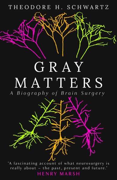 Gray Matters | A Biography Of Brain Surgery | Theodore Schwartz | Englisch-image