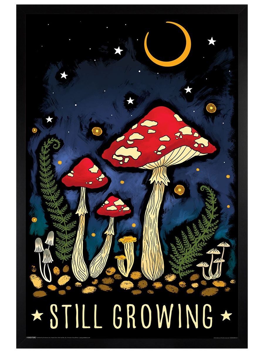Magical Mushroom Still Growing Maxi Poster - Black Wooden Framed