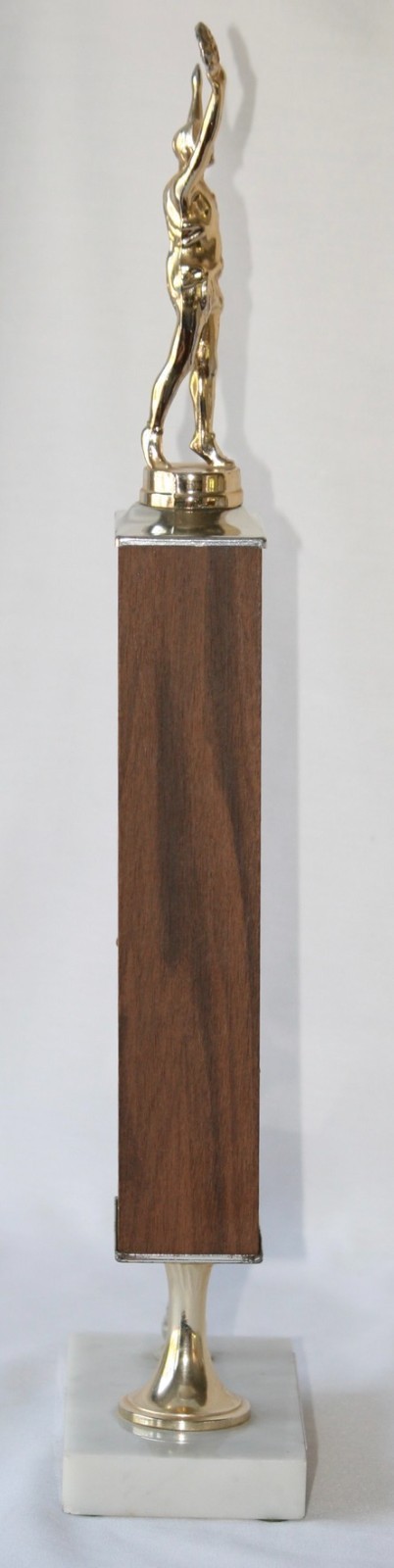 Picture 6 of 11