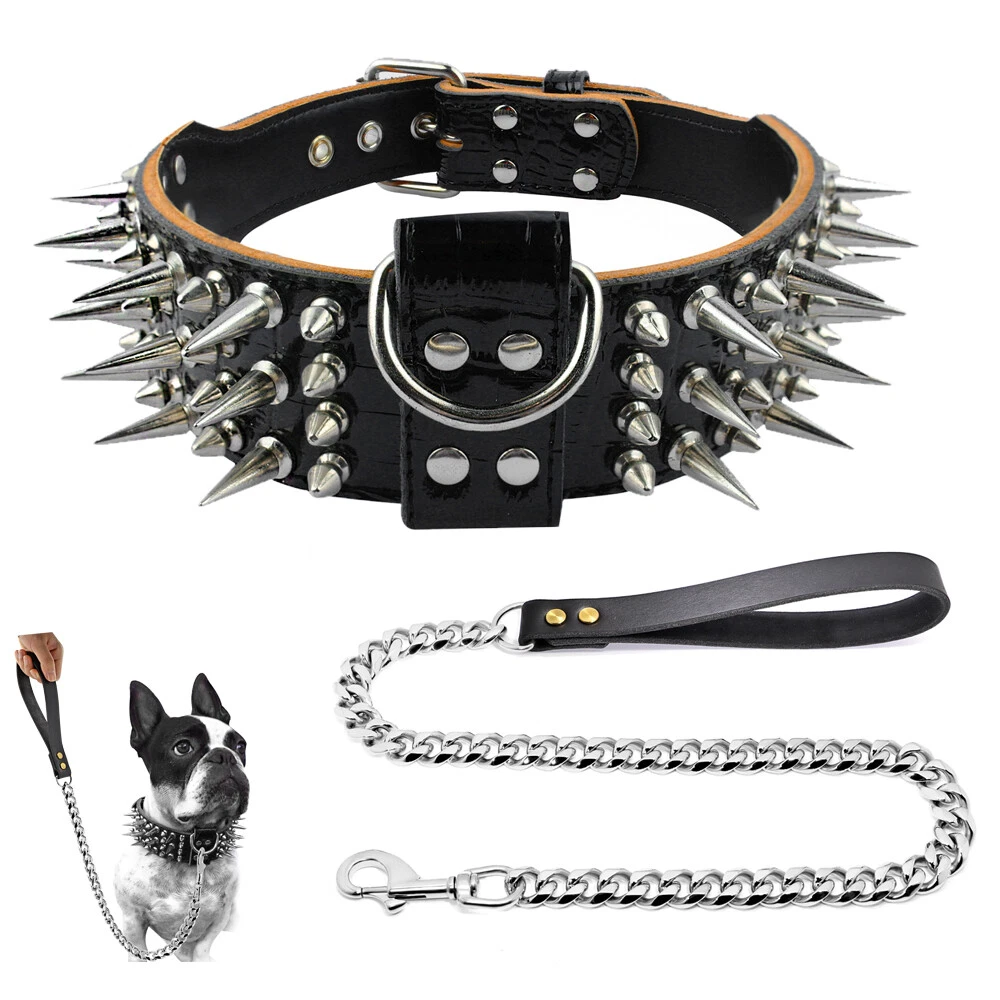 Large Pet Collar & Leash Set