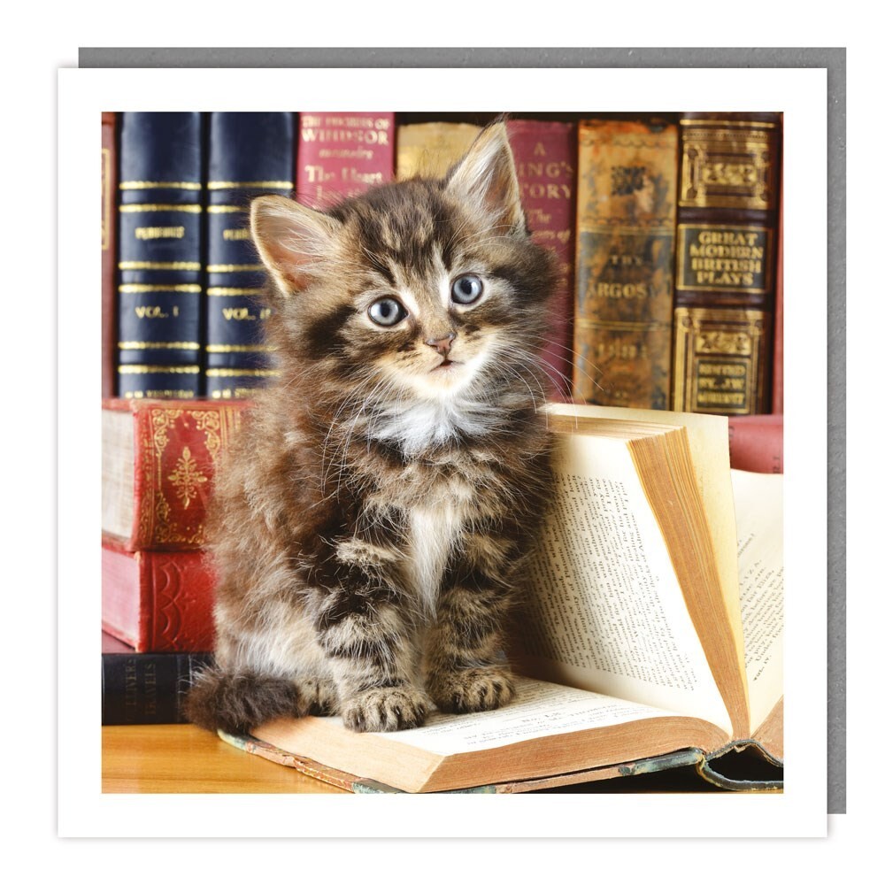 Books and Kitten Greeting Card - Meow Tracks Design