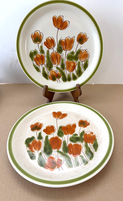 Vintage Set of 2 Meadowbrook Stoneware Spring Collection Dinner Plates 10.25''