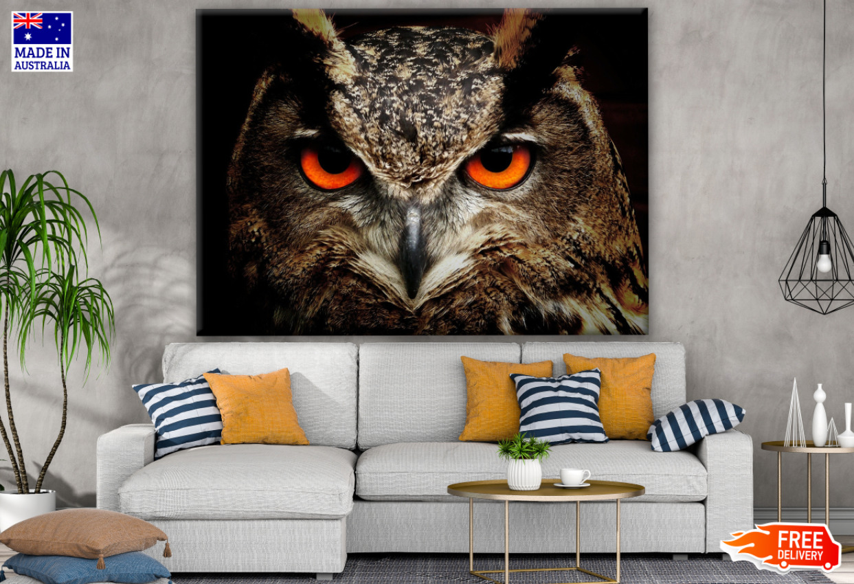 Owl Face Portrait Photograph Wall Canvas Home Decor Australian Made Quality