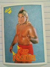 WWF 1990 Wrestling Cards