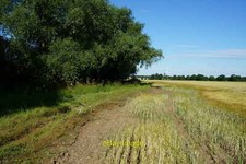 Photo 12x8 Bridleway towards Harswell 3 c2014