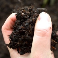 Composted Horse Manure