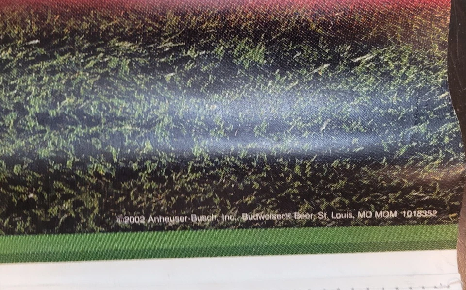 México Cuauhtémoc Blanco 5 x 2.5 Corea Japón 2002 Copa Mundial de la FIFA Banner de Fútbol Foto 3 de 4