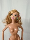 Articulated Barbie and Other Fashionista Barbies — photo 3
