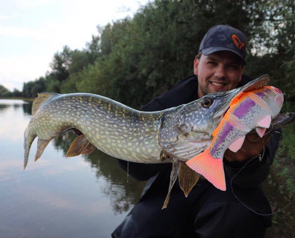 Savage Gear 4D Line Thru Trout Swim Baits Lures Pike Zander Salmon  Fishing