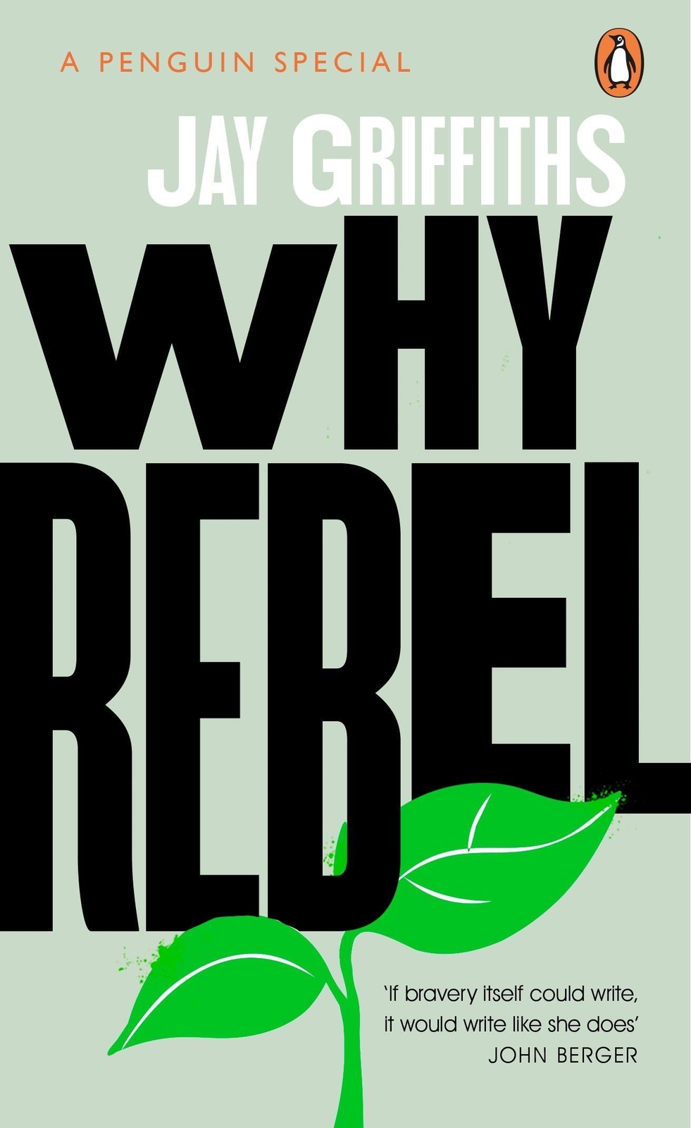 Thumbnail - Why Rebel Jay Griffiths Taschenbuch Kartoniert / Broschiert Englisch