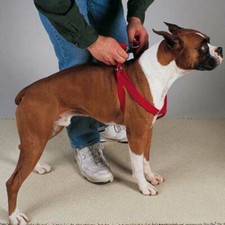 HDP STEP IN HARNESS Dog Pet Walk Adjustable Easy No Pull with Safety Buckle