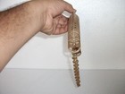 Bild 10 von 12