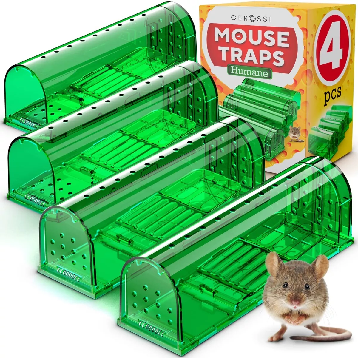 Humane cheap rat catcher