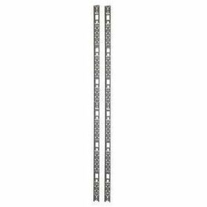 APC NetShelter Vertical Cable Management, for NetShelter SX 42U, Black AR7511