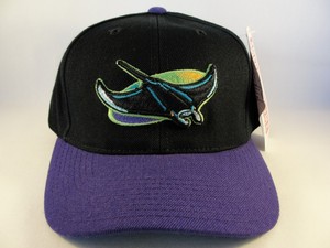 devil rays hat