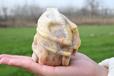 590g Unique Natural Unknown Quartz Hand Carved Crystal