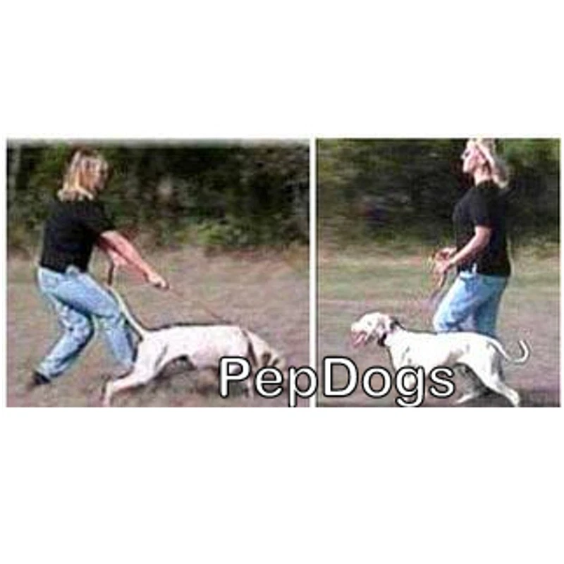 StarMark Triple Crown Dog Training Gentle ADJUSTABLE Choke Collar Reduce Pulling - Image 3 of 4