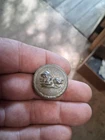 large coat button with hog head brass 2 piece